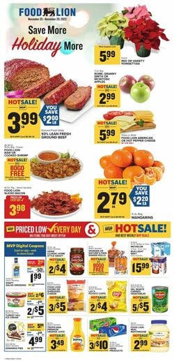 Catalogue Food Lion from 11/25/2022