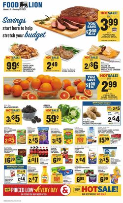 Catalogue Food Lion from 01/11/2023