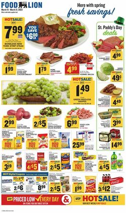 Catalogue Food Lion from 03/15/2023