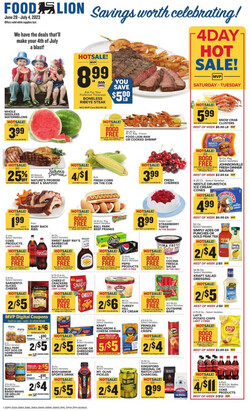 Catalogue Food Lion from 06/28/2023