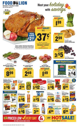 Catalogue Food Lion from 11/08/2023