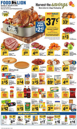 Catalogue Food Lion from 11/15/2023