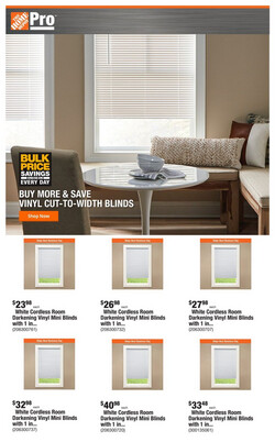 Catalogue Home Depot from 03/25/2024