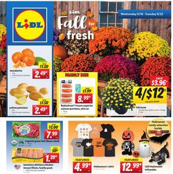 Catalogue Lidl from 09/16/2020
