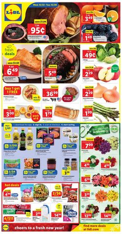 Catalogue Lidl HOLIDAY 2021 from 12/22/2021
