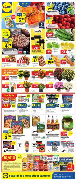 Catalogue Lidl from 08/24/2022