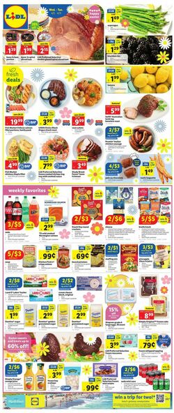 Catalogue Lidl from 04/05/2023