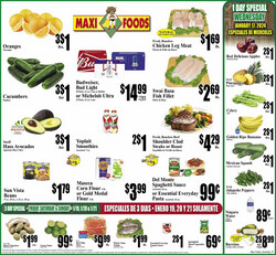 Catalogue Maxi Foods from 01/17/2024