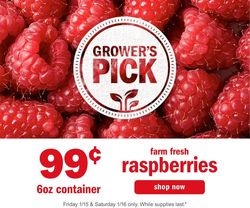 Catalogue Meijer Grower's Pick 2021 from 01/15/2021