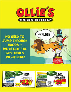 Catalogue Ollie's - Kansas from 03/28/2024