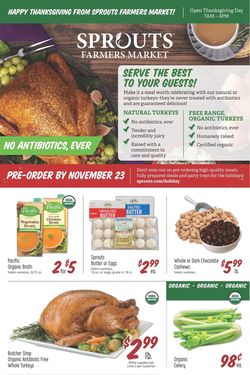 Catalogue Sprouts Thanksgiving ad 2020 from 11/18/2020
