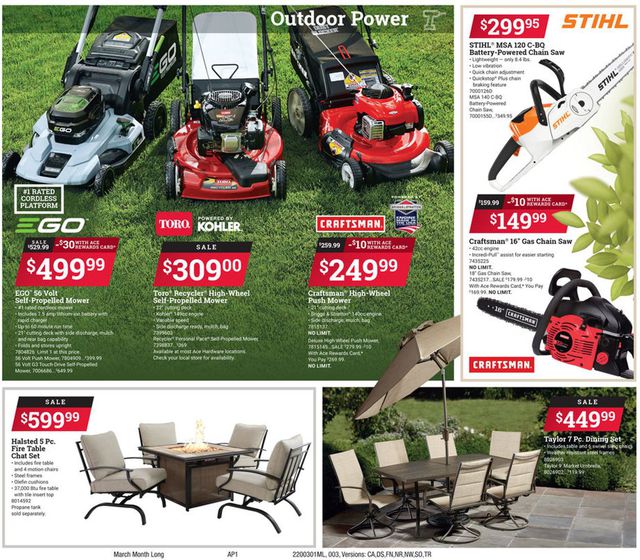 Ace Hardware Ad from 03/01/2020