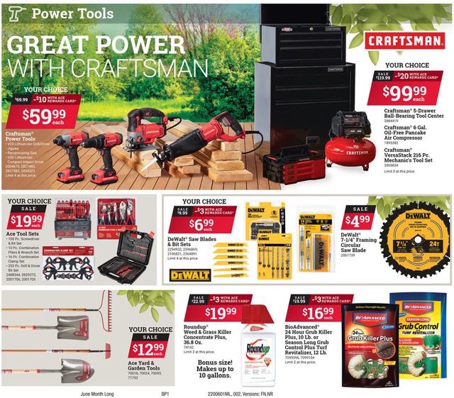 Ace Hardware Ad from 06/01/2020