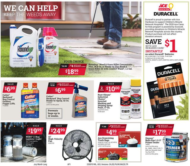 Ace Hardware Ad from 07/01/2020
