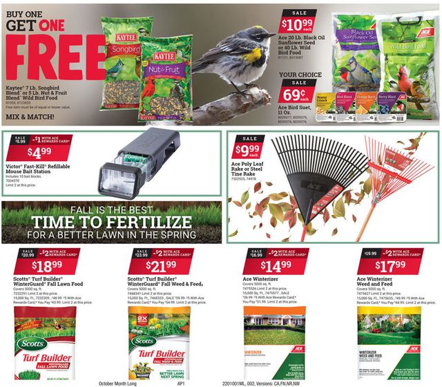 Ace Hardware Ad from 10/01/2020