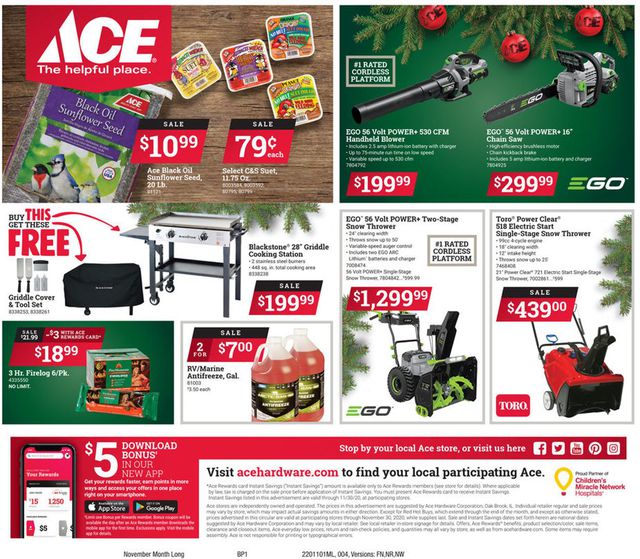 Ace Hardware Ad from 11/01/2020