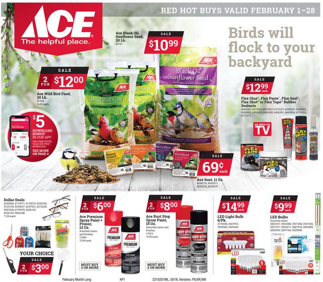 Ace Hardware Ad from 02/01/2021
