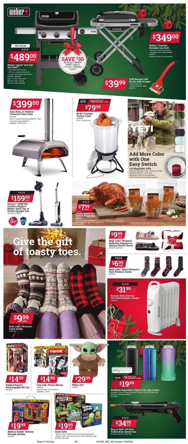 Ace Hardware Ad from 12/01/2021