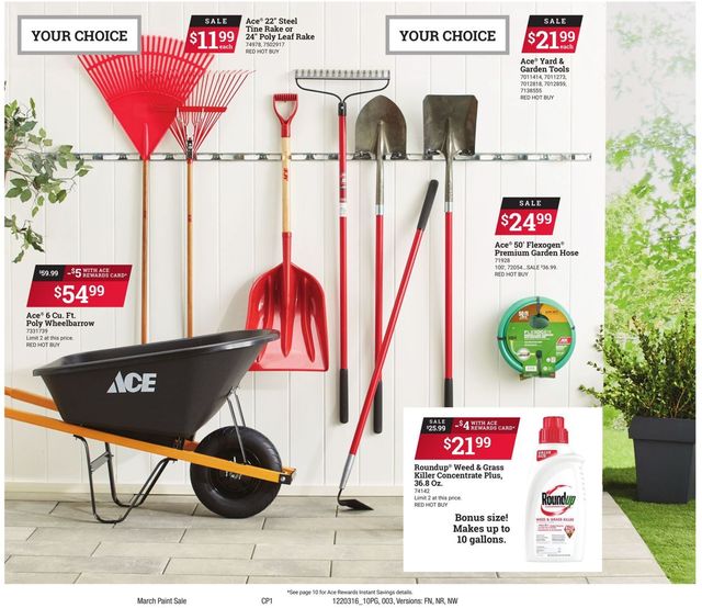 Ace Hardware Ad from 03/16/2022