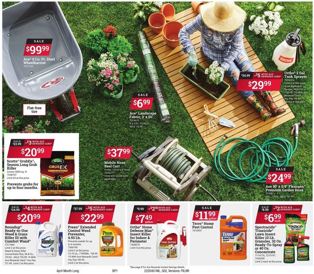 Ace Hardware Ad from 04/01/2022