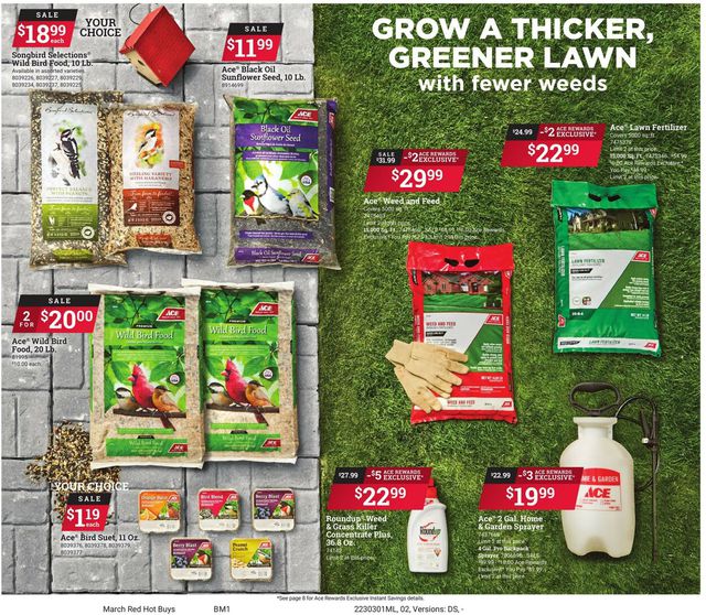 Ace Hardware Ad from 03/01/2023
