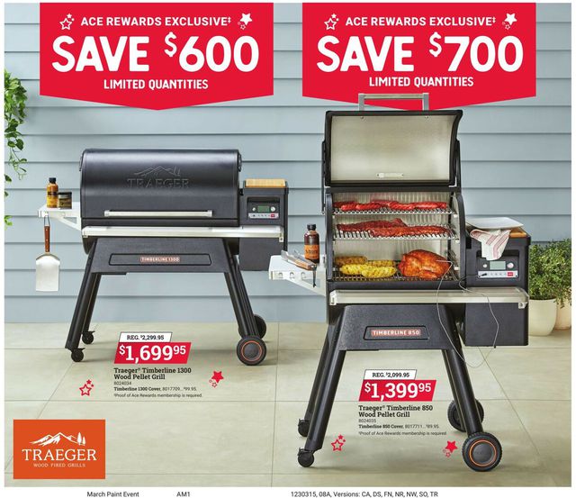 Ace Hardware Ad from 03/15/2023