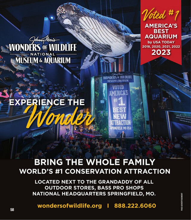 Bass Pro Ad from 06/05/2024