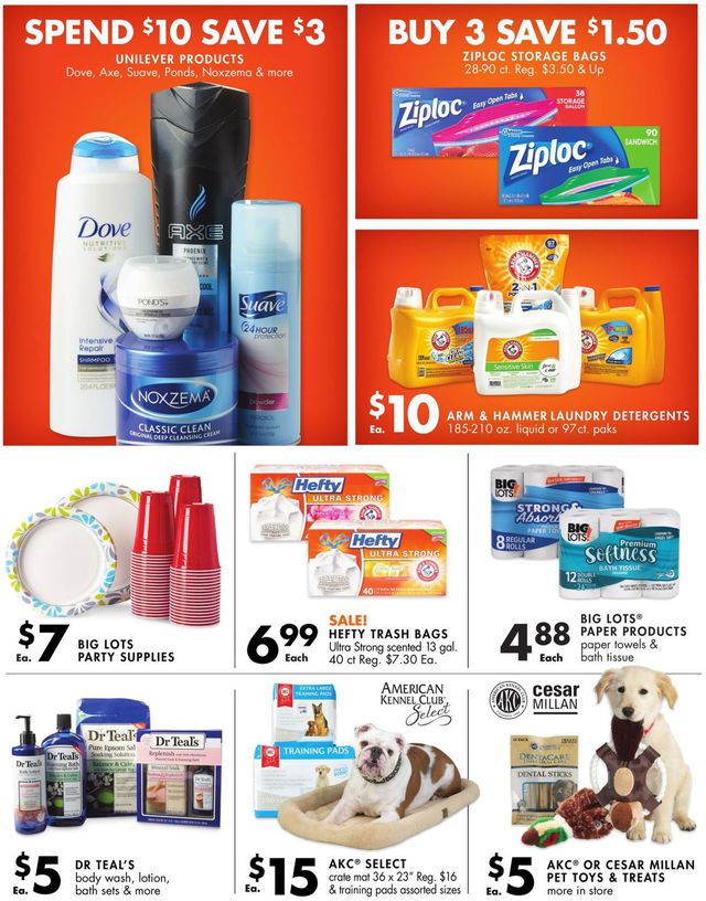 Big Lots Ad from 10/19/2019