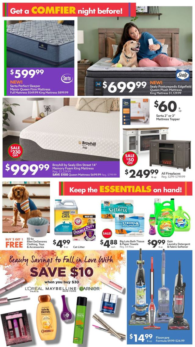 Big Lots Ad from 10/30/2021
