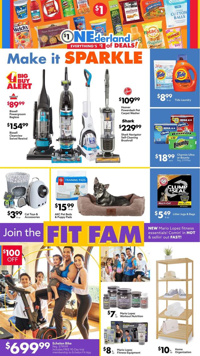 Big Lots Ad from 02/05/2022
