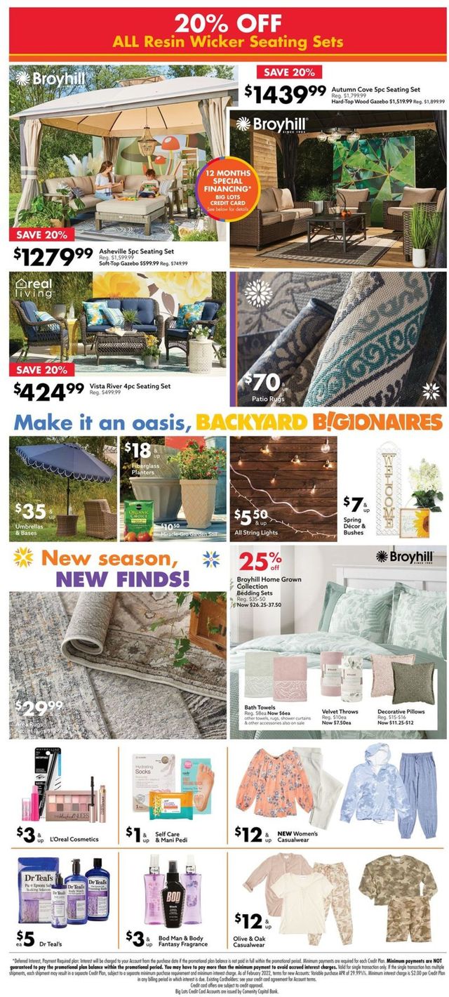 Big Lots Ad from 03/19/2022