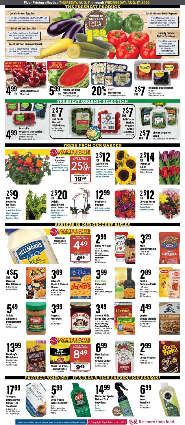 Big Y Ad from 08/11/2022