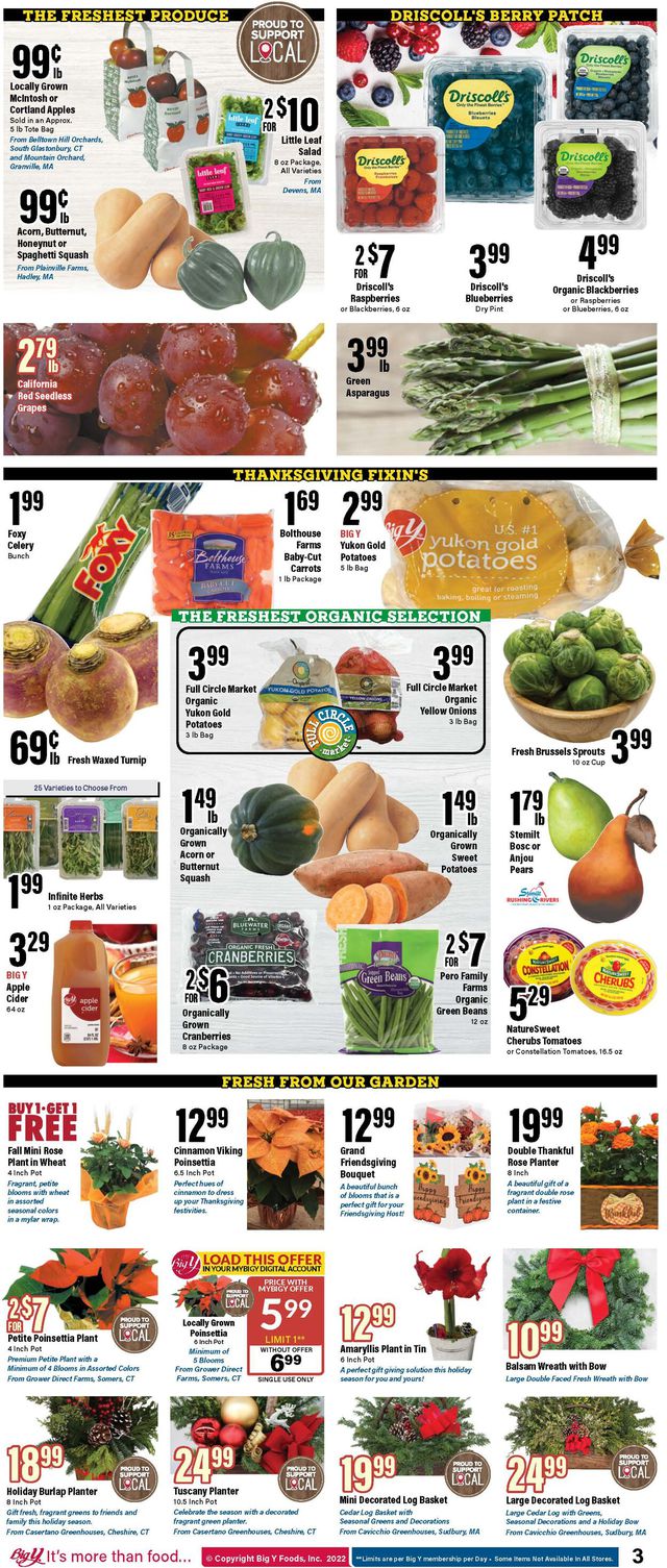 Big Y Ad from 11/17/2022