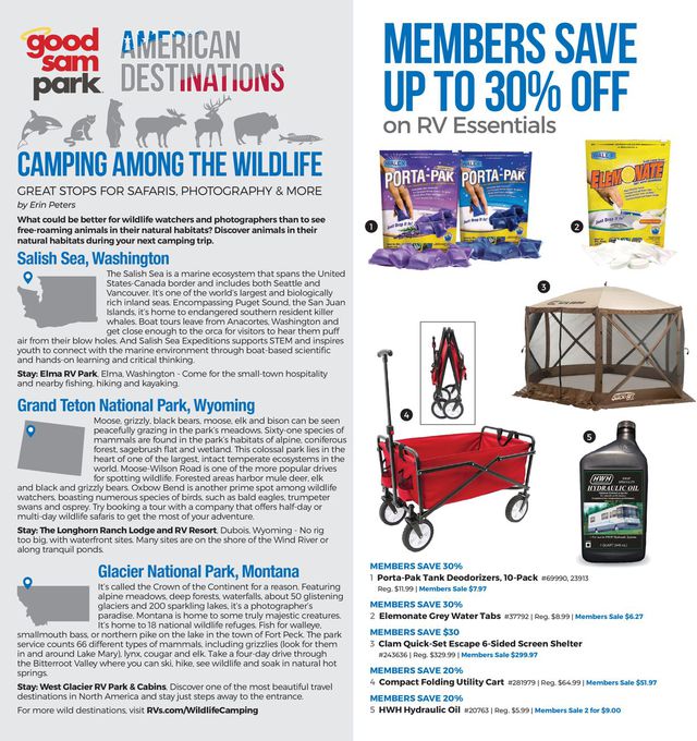 Camping World Ad from 03/22/2021