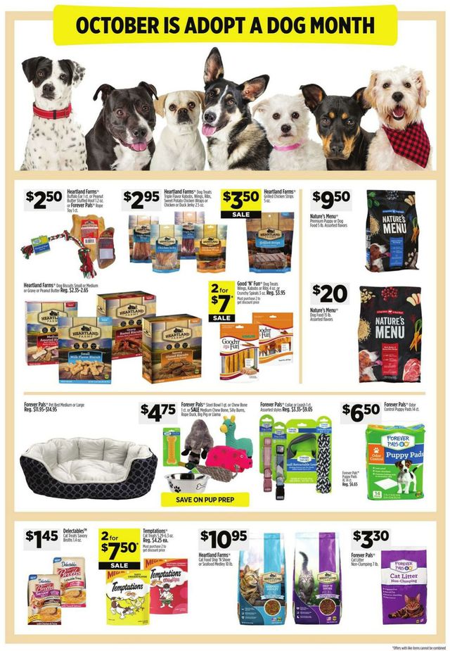 Dollar General Ad from 10/08/2023