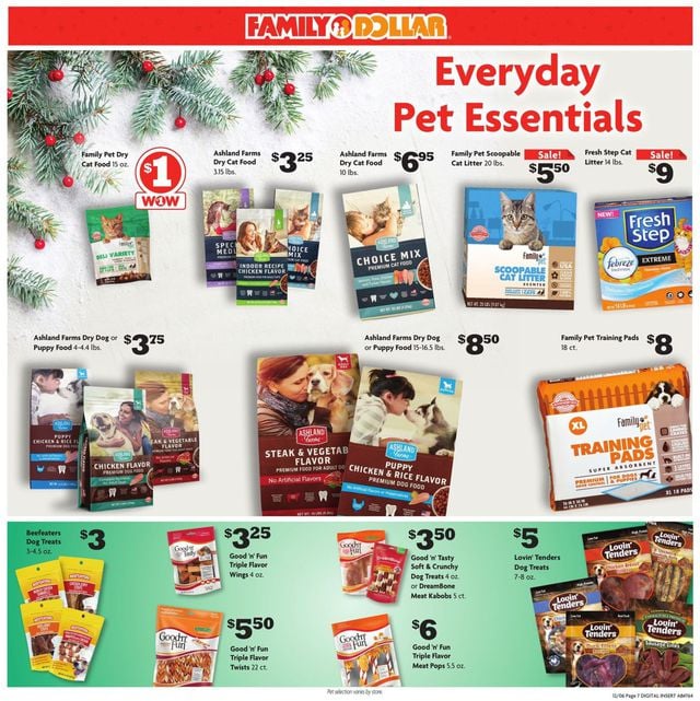 Family Dollar Ad from 12/06/2020