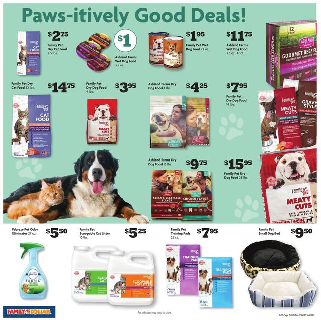 Family Dollar Ad from 07/17/2022