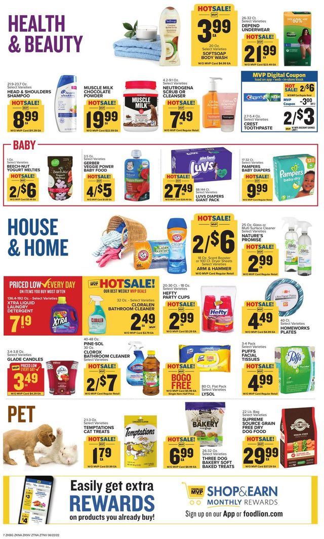 Food Lion Ad from 06/22/2022