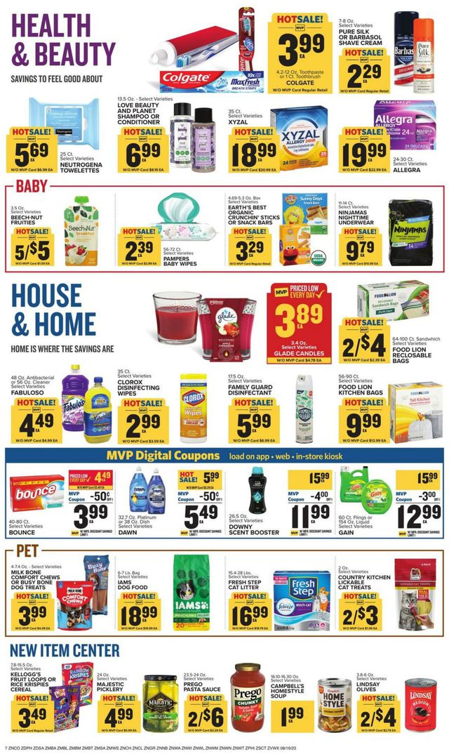 Food Lion Ad from 08/16/2023