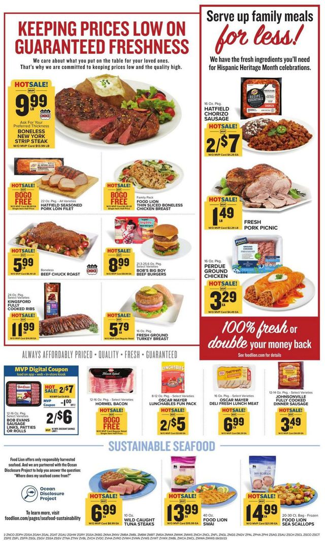 Food Lion Ad from 09/20/2023