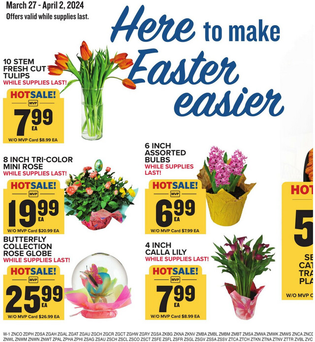 Food Lion Ad from 03/27/2024