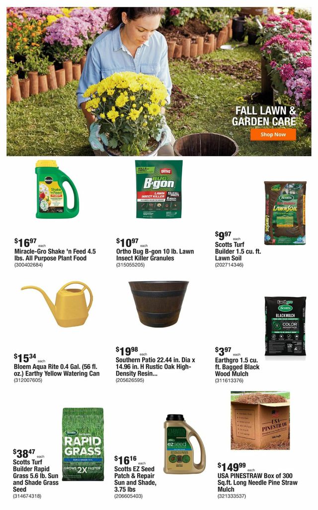 Home Depot Ad from 10/13/2022