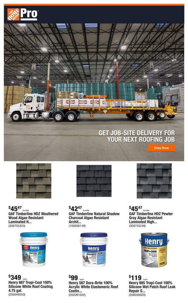 Home Depot Ad from 01/01/2024