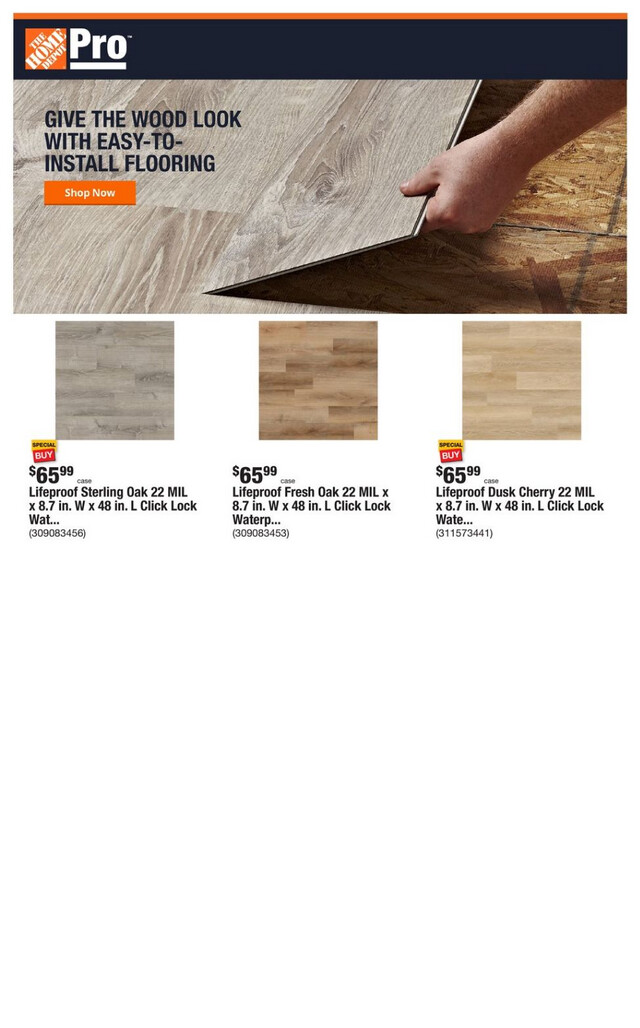Home Depot Ad from 03/18/2024