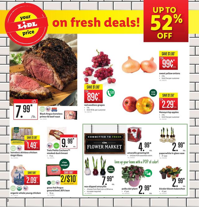 Lidl Ad from 11/06/2019