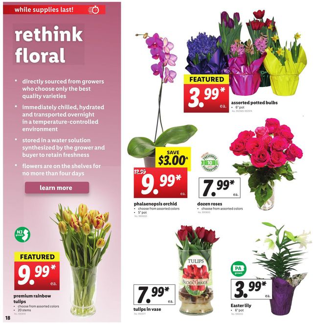 Lidl Ad from 04/08/2020