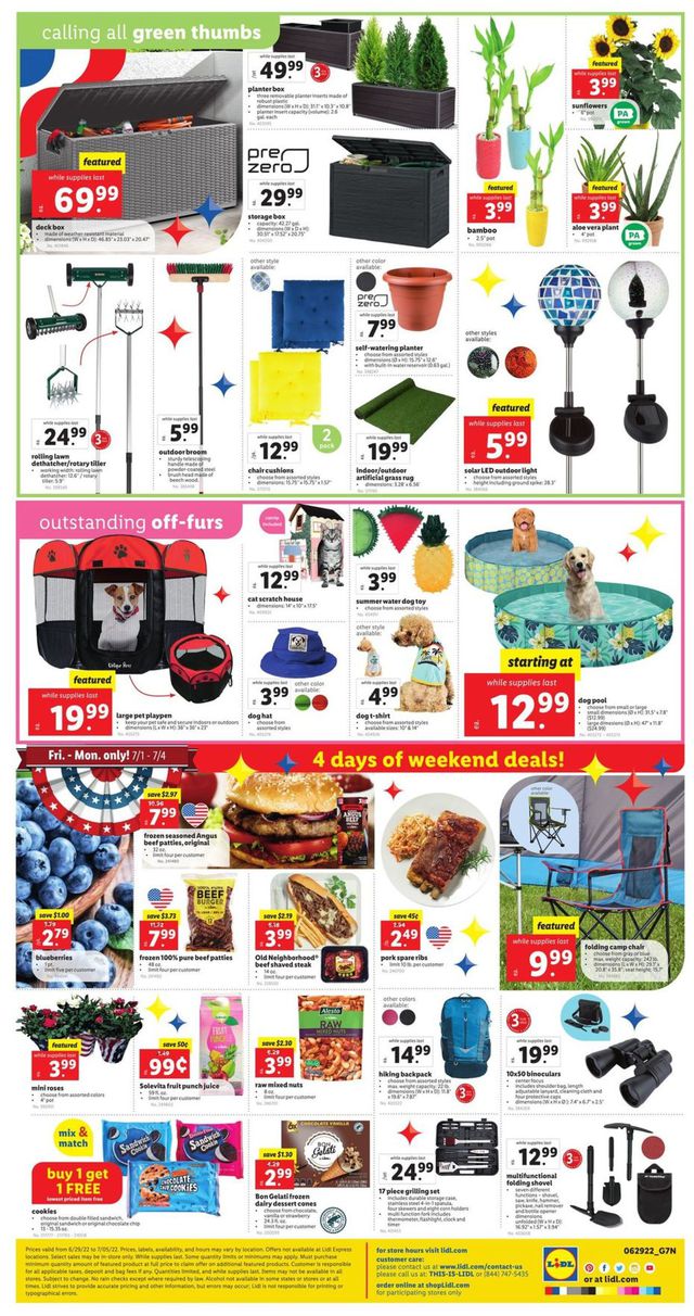 Lidl Ad from 06/29/2022