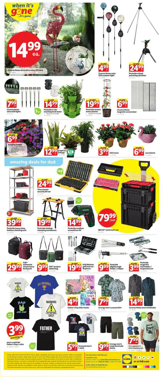 Lidl Ad from 06/07/2023