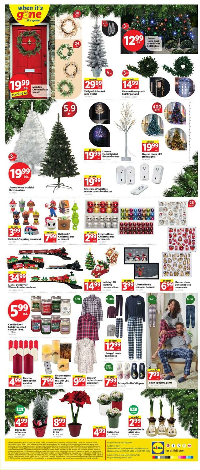 Lidl Ad from 11/08/2023