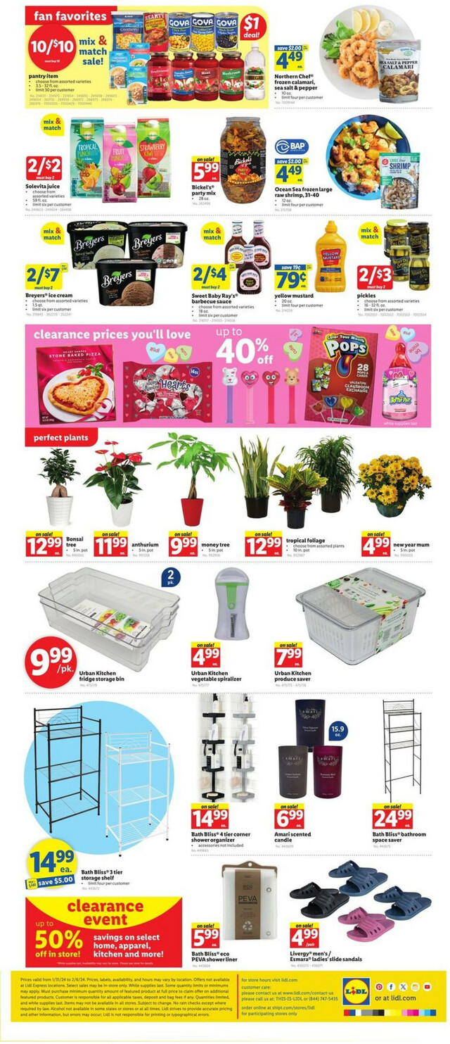 Lidl Ad from 01/31/2024